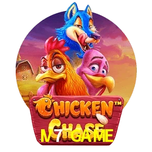 IV7 GAME — Chicken Chase crash game | Play on Android APK & iPhone for real money | Hacksaw Gaming